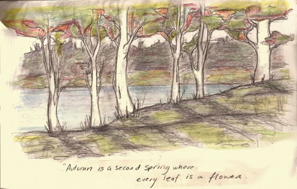 Autumn - Camus small