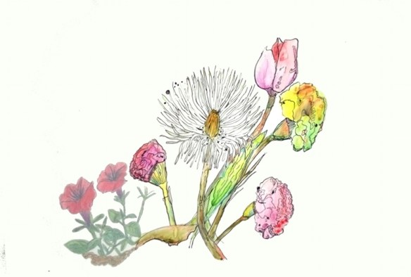 Flora (ink on mylar) - Felder web