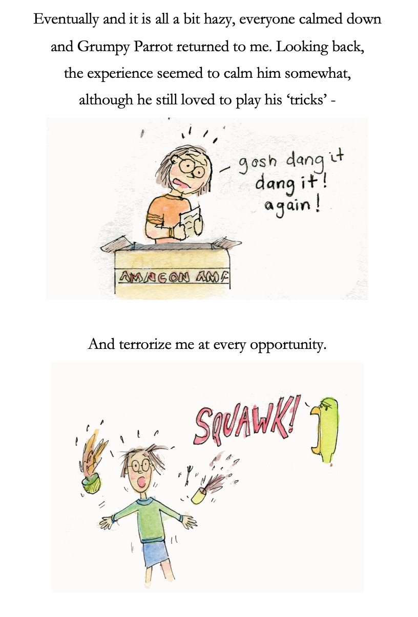 Screen Shot 2020-05-18 at 4.54.29 PM